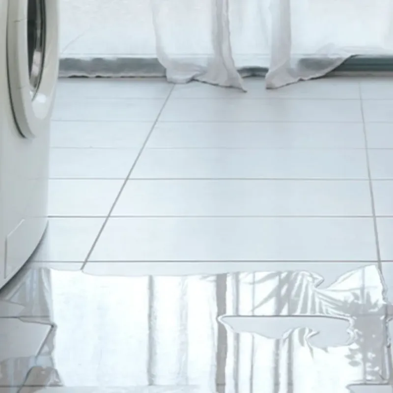 Appliance Leak Cleanup in Lovettsville, VA