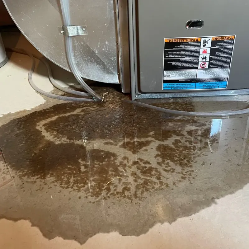 Pipe Burst and Leak Restoration in Lovettsville, VA