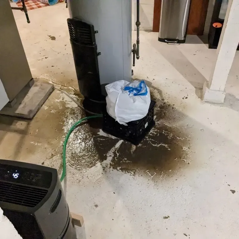Sewage Backup Cleanup Service in Lovettsville, VA